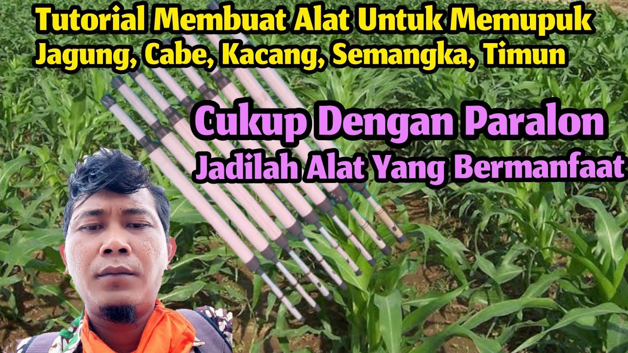  CARA  MEMBUAT ALAT UNTUK MEMUPUK  DAN MENABUR JAGUNG  