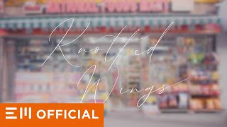 Aivan 아이반 - Knotted Wings Official Music Video