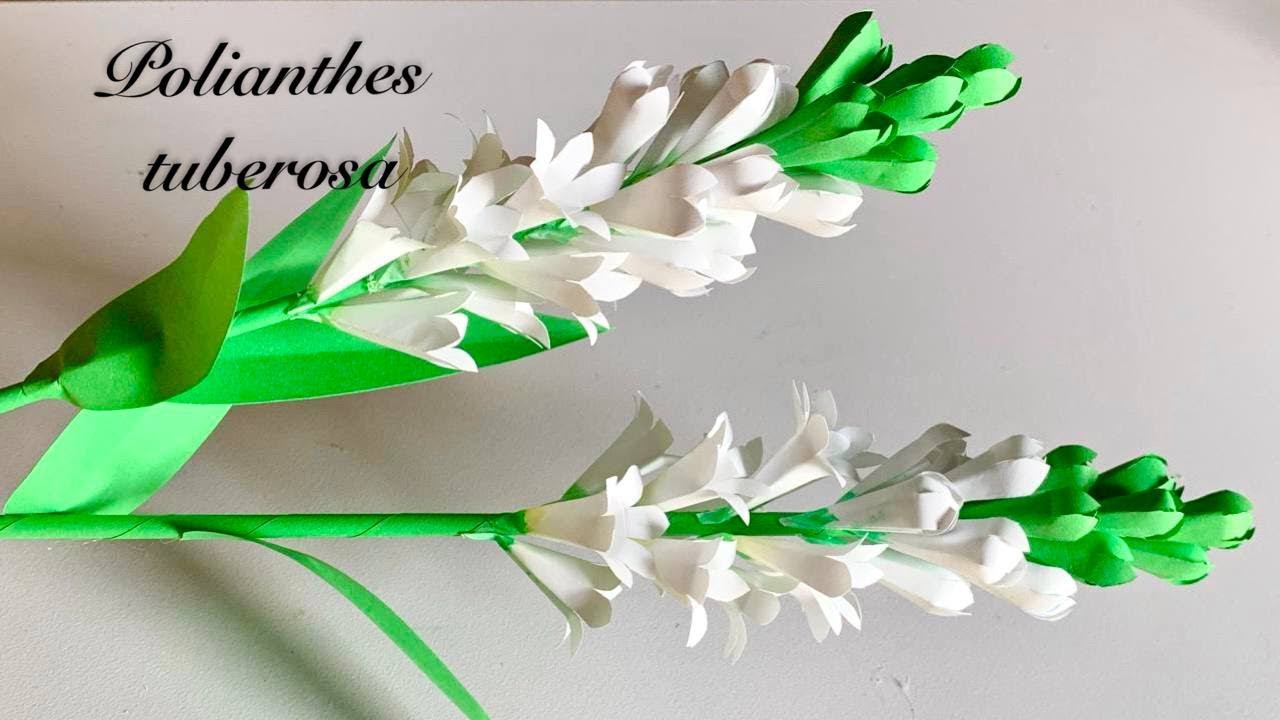 How To Make Beautiful Polianthes Tuberosa| Paper Flower DIY