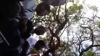 Brettonwood high school gwijo