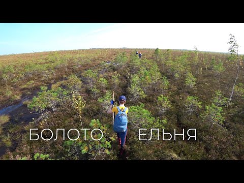 Ельня - самое большое в Беларуси верховое #болото. Древнее место, про которое стоит сочинять легенды