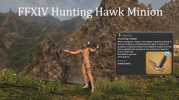 FFXIV Hunting Hawk Minion