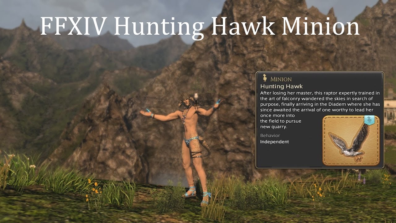 FFXIV Hunting Hawk Minion