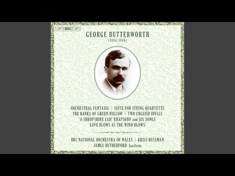 在 YouTube 上觀看「Suite for String Quartette (Arr. for String Orchestra by K. Russman) : II. Scherzando – non...」