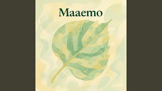 Download Lagu Koenkota MP3