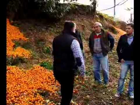 „ნაციონალური მოძრაობა\" აჭარის სოფლის მეურნეობის მინისტრის გადადგომას ითხოვს