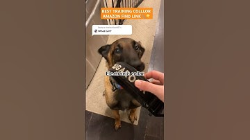 Best Dog Training Collar For big dog Amazon’s Top Pick Revealed! 🐾"#shorts #dogcollars #dogproducts