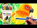 Do These ERASABLE Colored Pencils Work? Parrot Sketch & United Office Watercolor Painting