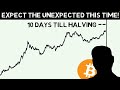 Bitcoin expert explains what will happen to btc in 20242025 get ready
