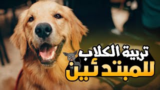 كيفية تربية الكلاب للمبتدئين | إزاي تربي كلب  ؟