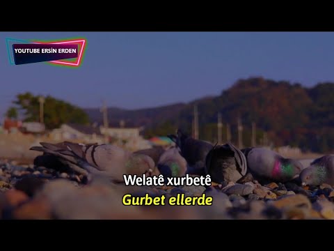 Welate Gurbete • Türkçe altyazılı Whatsapp Durumları Tiktok Duygusal video Manzaralı Videolar Kuşlar