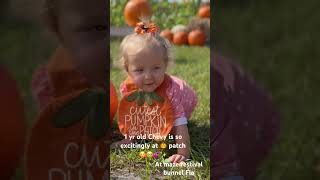 first pumpkin patch #bunnell #pumpkinpatches