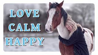 Returning to Youtube - When Horses Choose