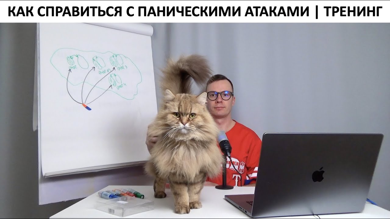 Как справиться с паническими атаками | Тренинг - YouTube