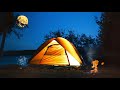 Summer sight ambience in the tent | Campfire and crickets sounds for sleep