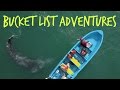 Petting Baby Whales ~ Baja California RV Road Trip ~ Laguna Ojo De Libre
