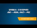 Буквы а – о в корнях -лаг- – -лож-; -раст- - -рос