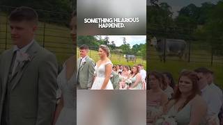 An Unexpected Wedding Surprise 