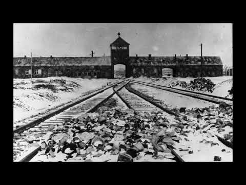 Frankfurter Auschwitz-Prozess Zeuge Józef Kral 46. Verhandlungstag 15.05.1964