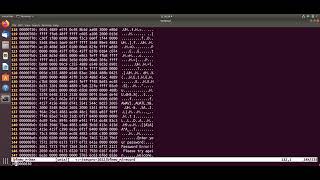 Binary Patching (bfnew_m)