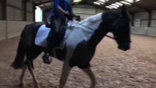 Charlie - Flatwork