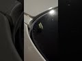 這是什麼長得像肉粽的可愛昆蟲 #shorts