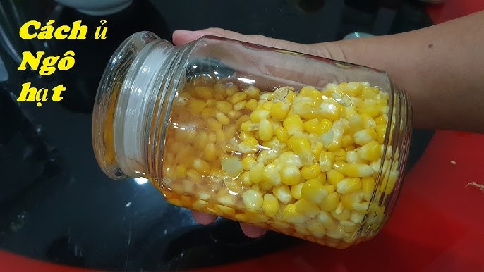 Cách Ủ Ngô Với Sữa Chua - Hướng Dẫn Chi Tiết Đơn Giản Tại Nhà
