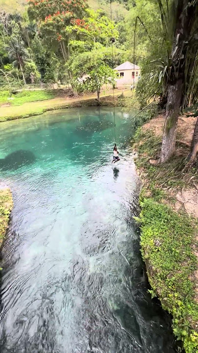 #jamaica 🇯🇲 #caribbean #travel #spanishbridge #bridge #river