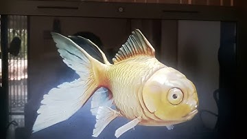 bloomsindiaar/fishar/augmented reality