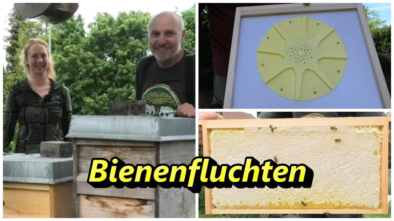 Bienenfluchten