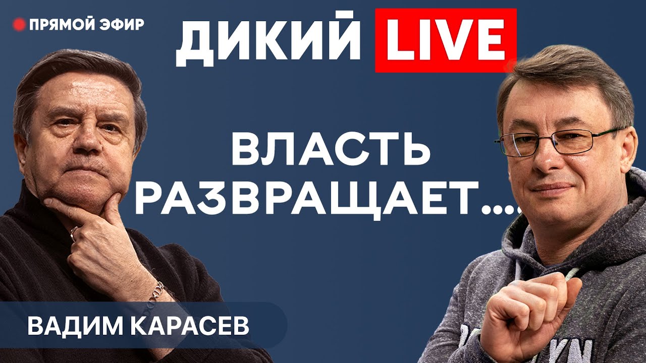 Канал дикий прямой эфир. Дикий Live.