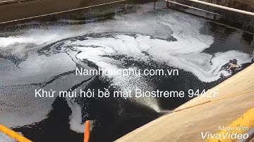 Phun BIOSTREME9442F tại bể chứa nước thải