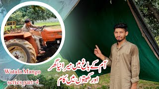 Mera Naya Ghr Aur Tractor Watala Mango Series Part-4