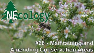NEcology #68 - Maintaining and Amending Conservation Areas