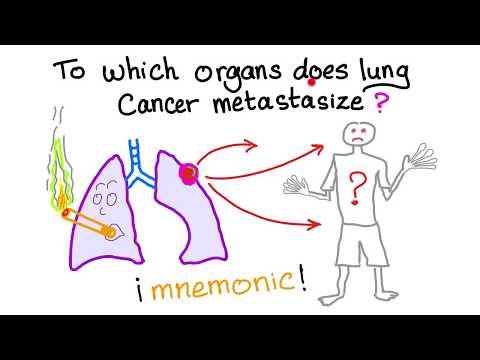 Mnemonic: Which organs does lung cancer metastasize to?