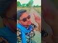 14 April Bhi Ek Sher Ki Kahani Hai | #trendingvideo #bhimjayanti #chandarsekharazad #sher
