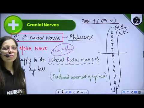 190  379 Nervous System 10 Anatomy and Physiology of Nervous System