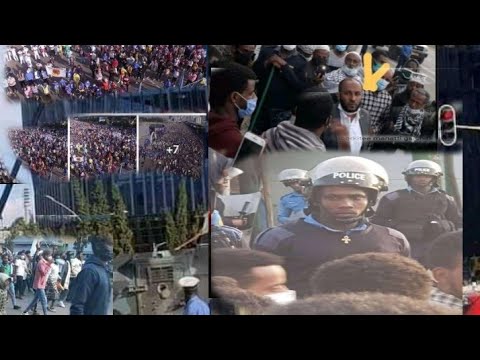 Hiriraa Guddaa Guyaa Haraa Ummanii Muslim Furuu Dhorkanii Guyaa Ara Magaalaa Finfinetii Guyaa Arraa