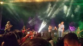 Shaggydog Damai Sejahtera