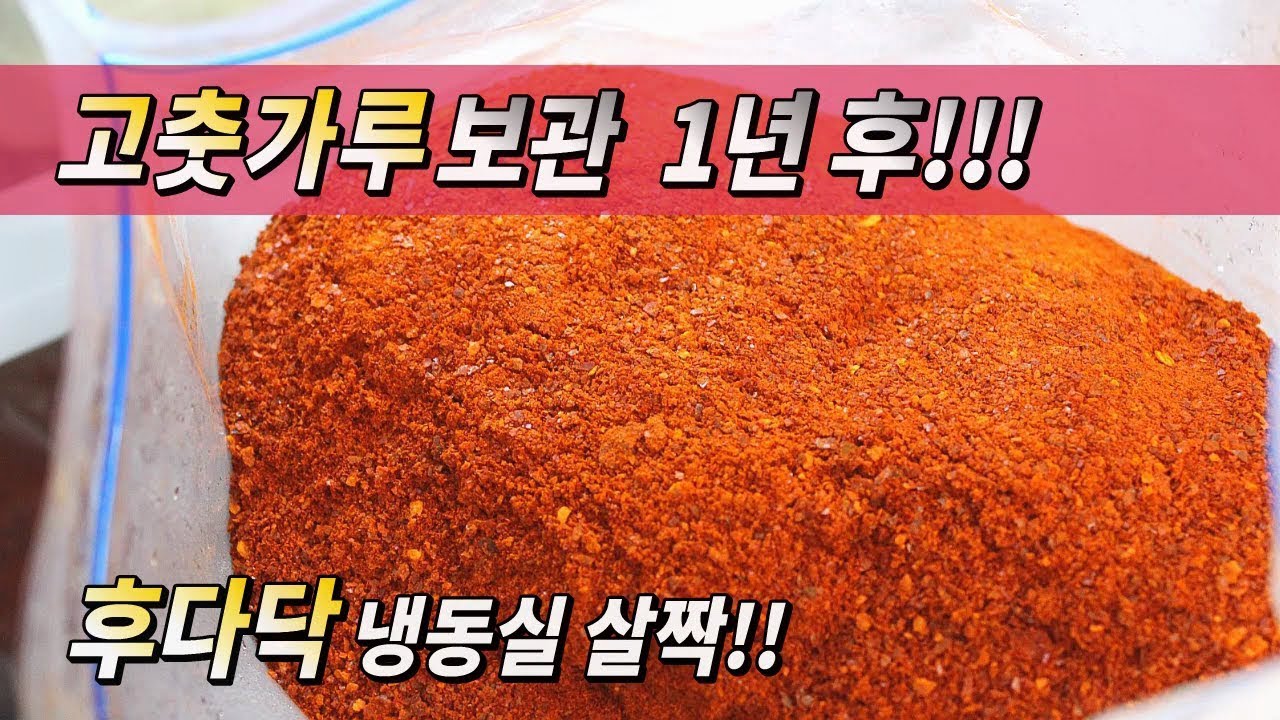 보관 고추 방법 가루 고춧가루 유통기한? 보관 고추 방법 가루 고추 싱싱하게