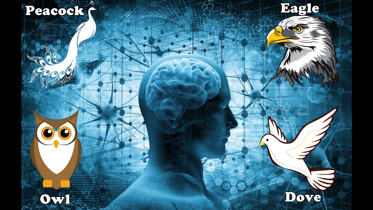 4 Types of behaviour DMIT / Know Yourself with DMIT Test / Mindstar DMIT Test