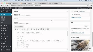WordPressプラグイン:「ACF」で作成した投稿や固定ページのカスタムフィールドに内容を入力する｜lynda.com 日本版