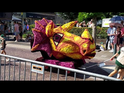 Видео: Нидерланды. Парад цветов. Фильм 1