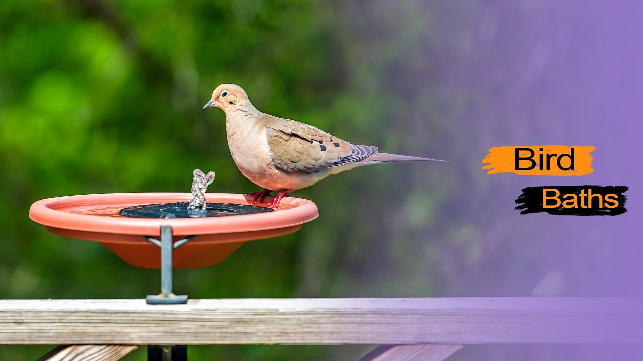Top 5 Bird Baths in 2023 Bird Baths YouTube