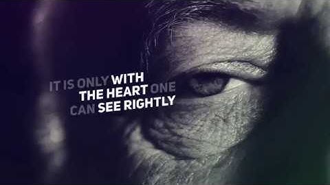 Different Minimal Art Titles - After Effects Template