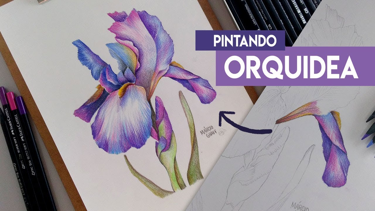 Colorindo ORQUÍDEA com lápis de cor Faber Castell Super Soft - Márcio Graff