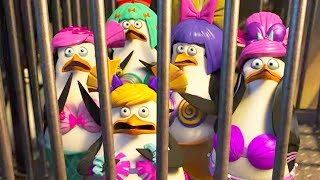 DreamWorks Madagascar em Português | O plano de Dave | Pinguins de Madagascar | Desenhos Animados