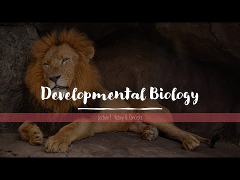 Developmental Biology: History & Introduction of Concepts