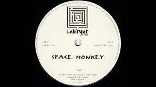 Space Monkey -- Morph