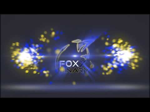 FOXX BINARY - INTROÇÃO